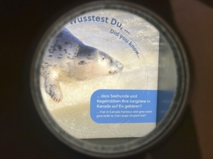 Beleuchtung - Seehundstation Friedrichskoog gGmbH