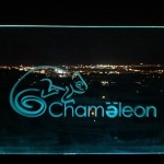 Chamaeleon_Mallorca_1