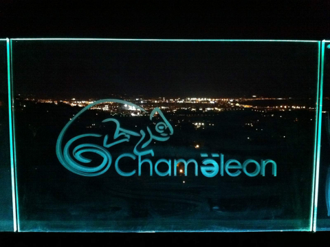 Chamaeleon_Mallorca_1