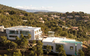 Chamaeleon_Mallorca_10